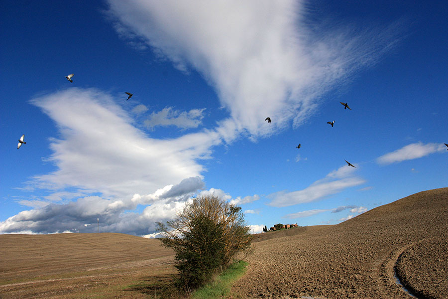 Ottobre 2012