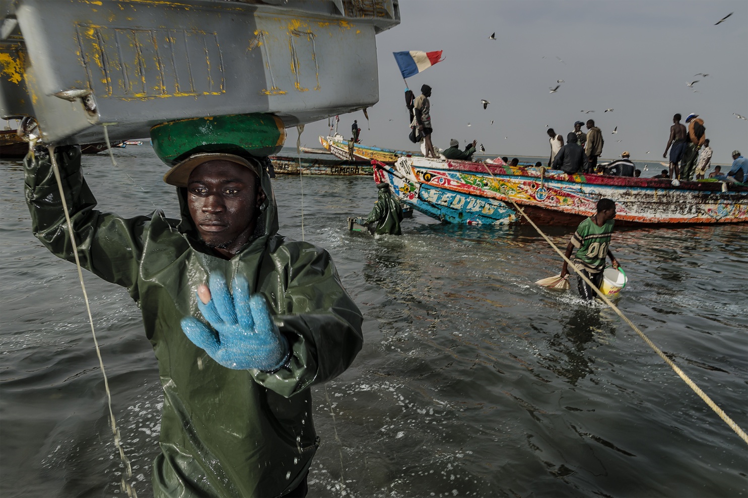 I pescatori tradizionali del Senegal sfidano l�Oceano Atlantico navigando con piccole piroghe di legno alla ricerca dei grandi banchi di pesce.