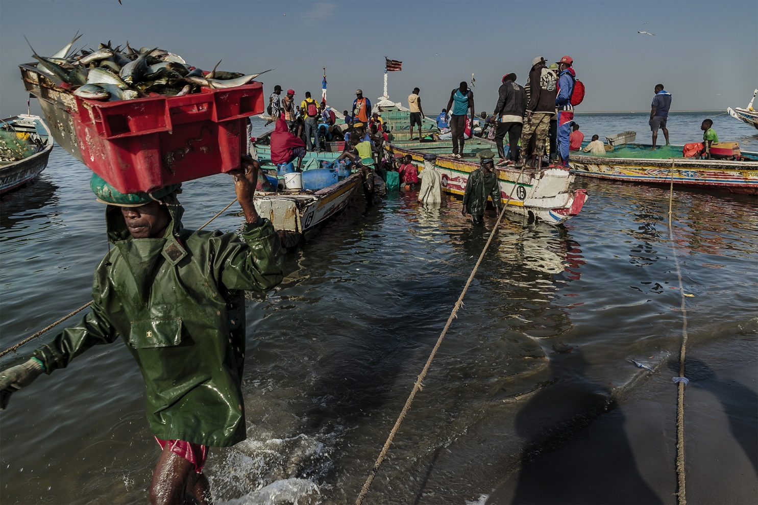 I pescatori tradizionali del Senegal sfidano l�Oceano Atlantico navigando con piccole piroghe di legno alla ricerca dei grandi banchi di pesce.