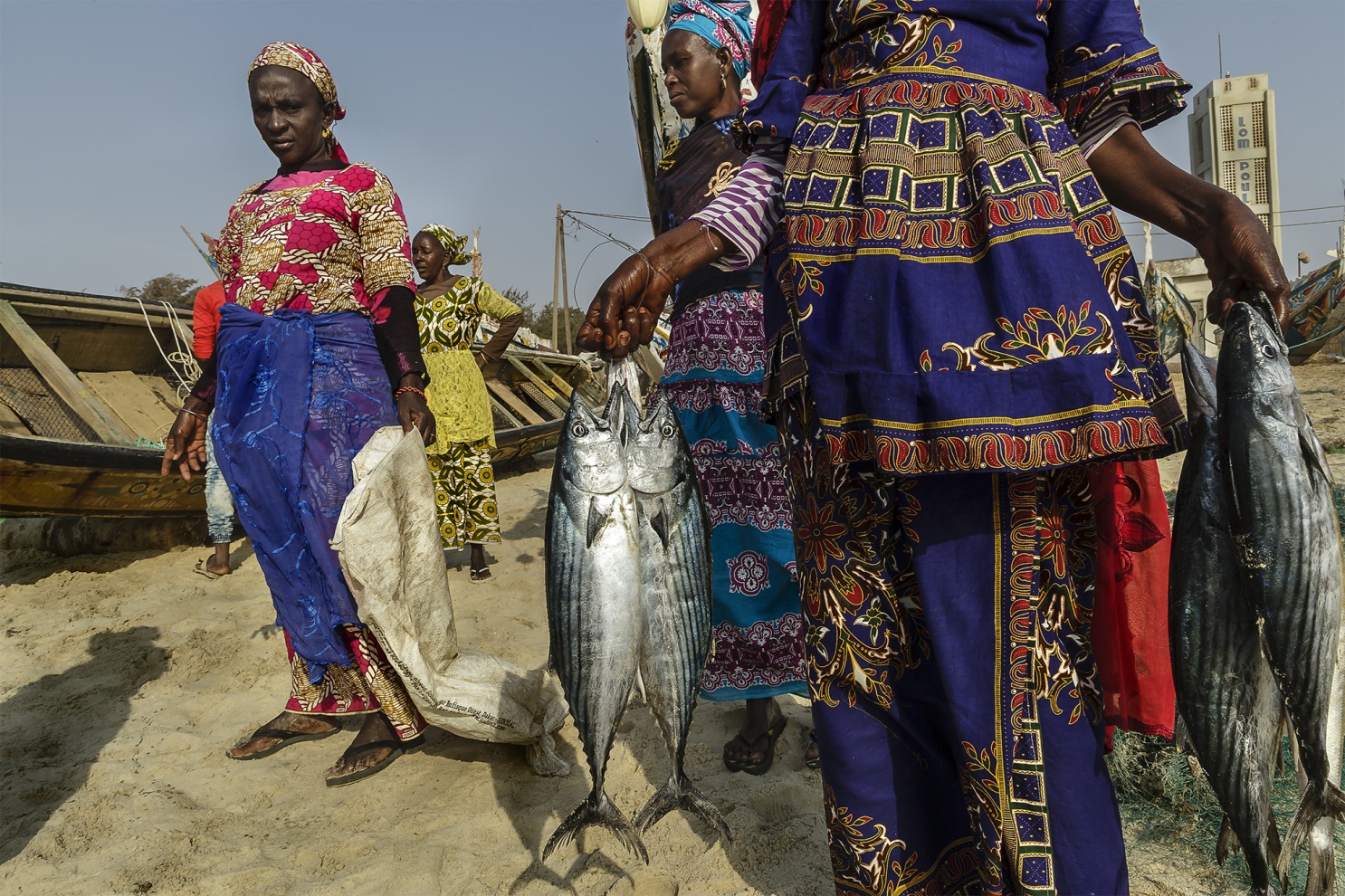 I pescatori tradizionali del Senegal sfidano l�Oceano Atlantico navigando con piccole piroghe di legno alla ricerca dei grandi banchi di pesce.