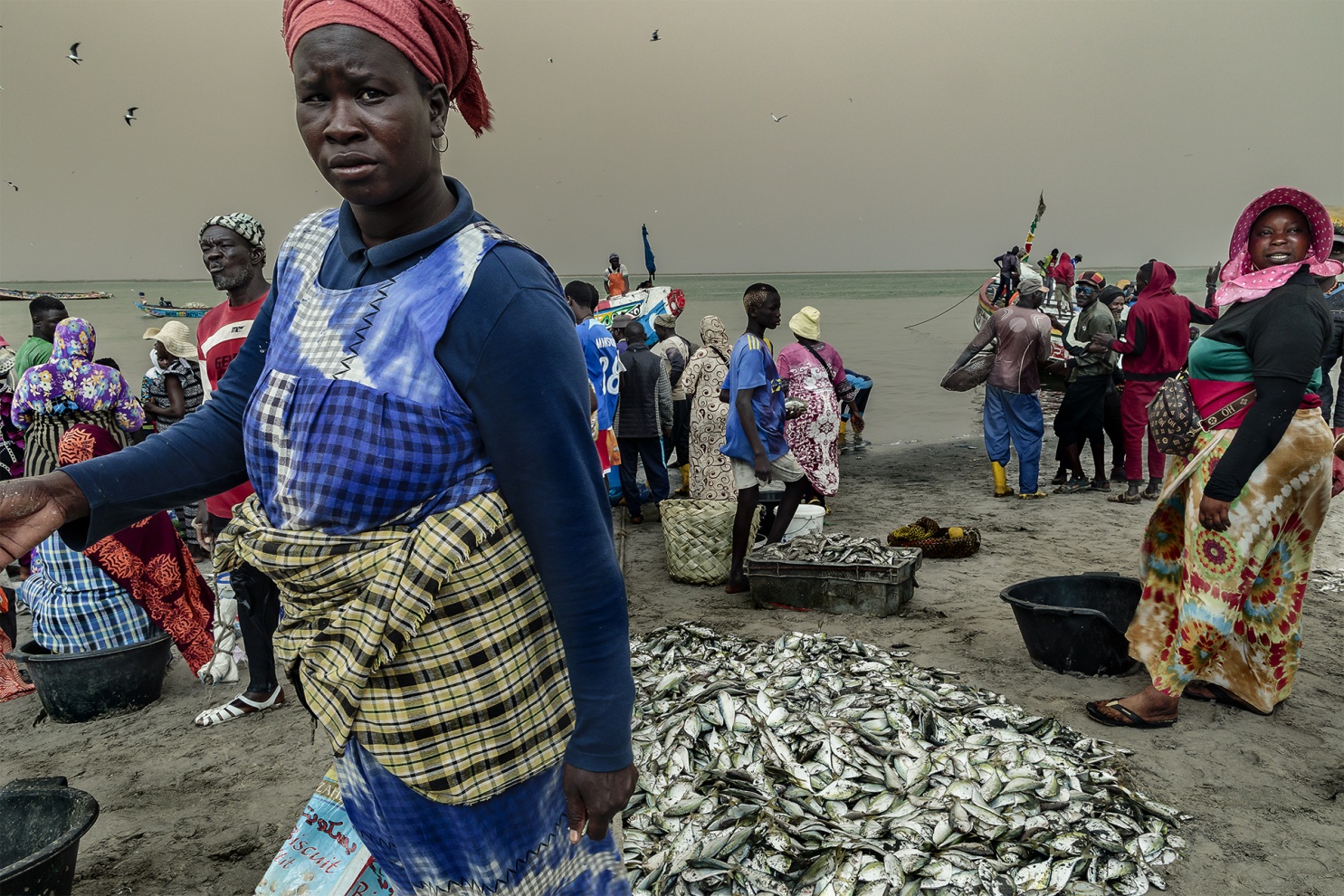I pescatori tradizionali del Senegal sfidano l�Oceano Atlantico navigando con piccole piroghe di legno alla ricerca dei grandi banchi di pesce.