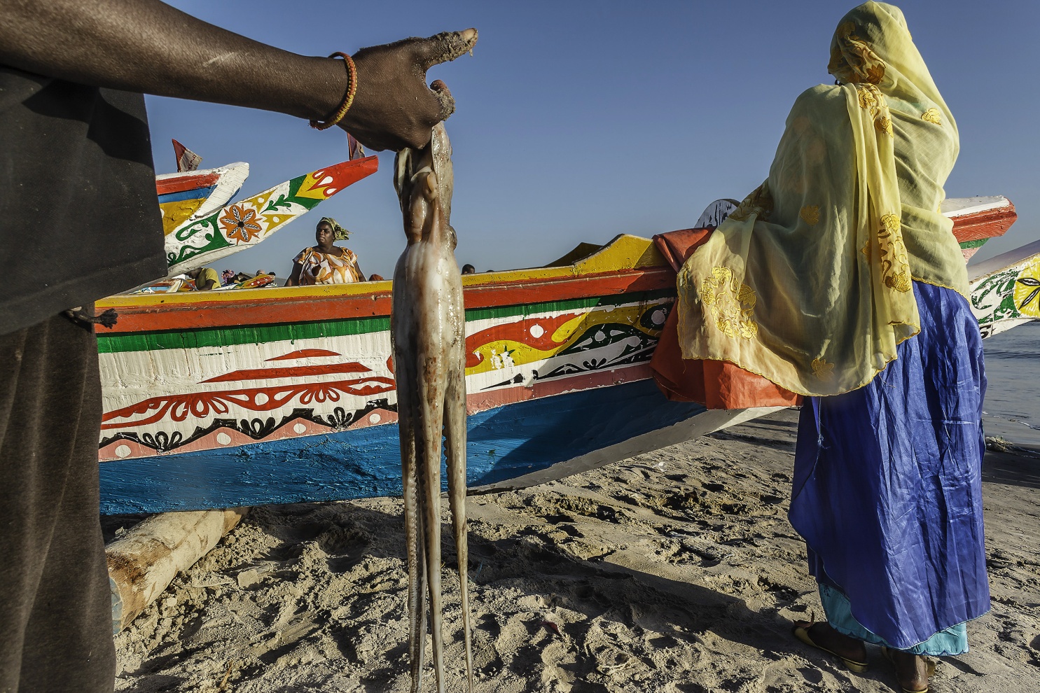 I pescatori tradizionali del Senegal sfidano l�Oceano Atlantico navigando con piccole piroghe di legno alla ricerca dei grandi banchi di pesce.