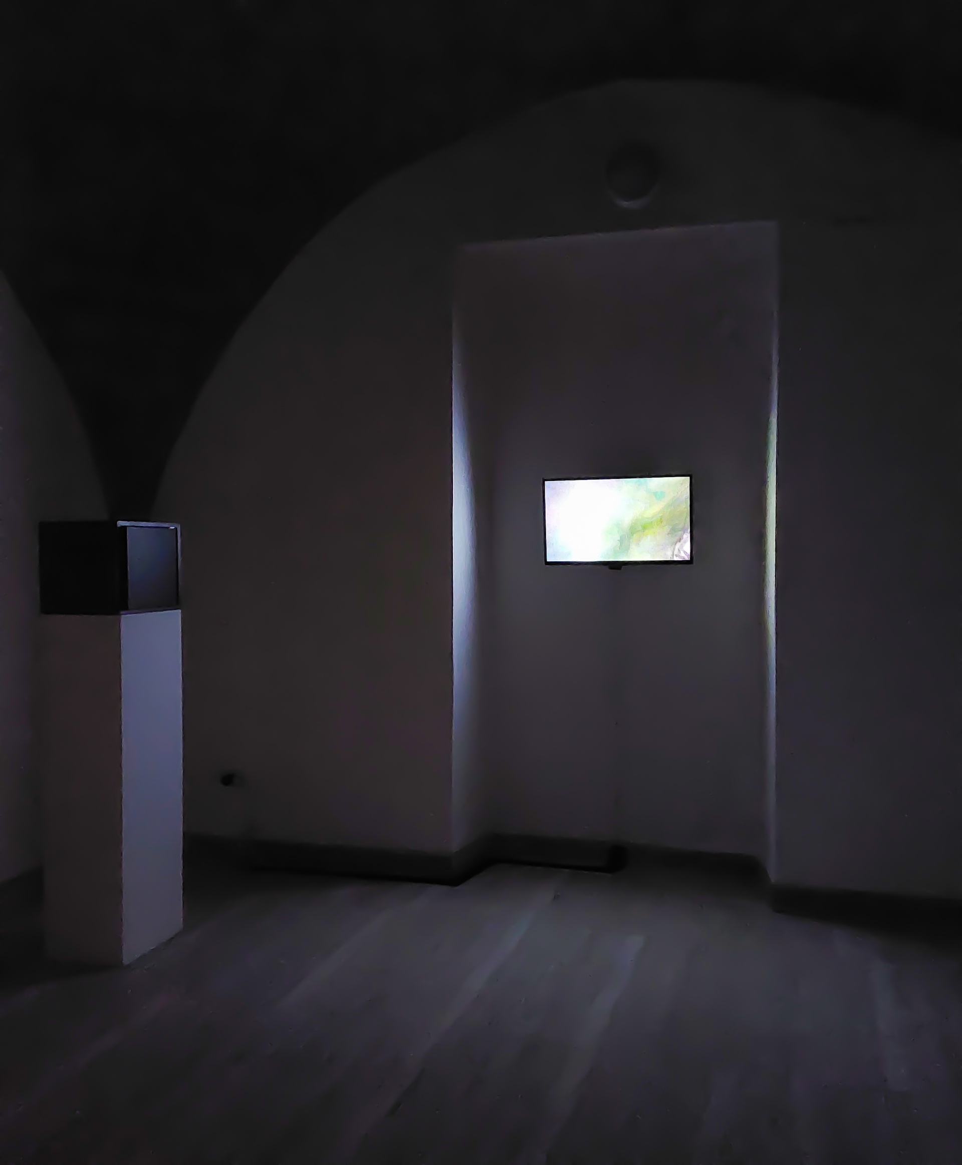 Chimera in exhibition (2021)